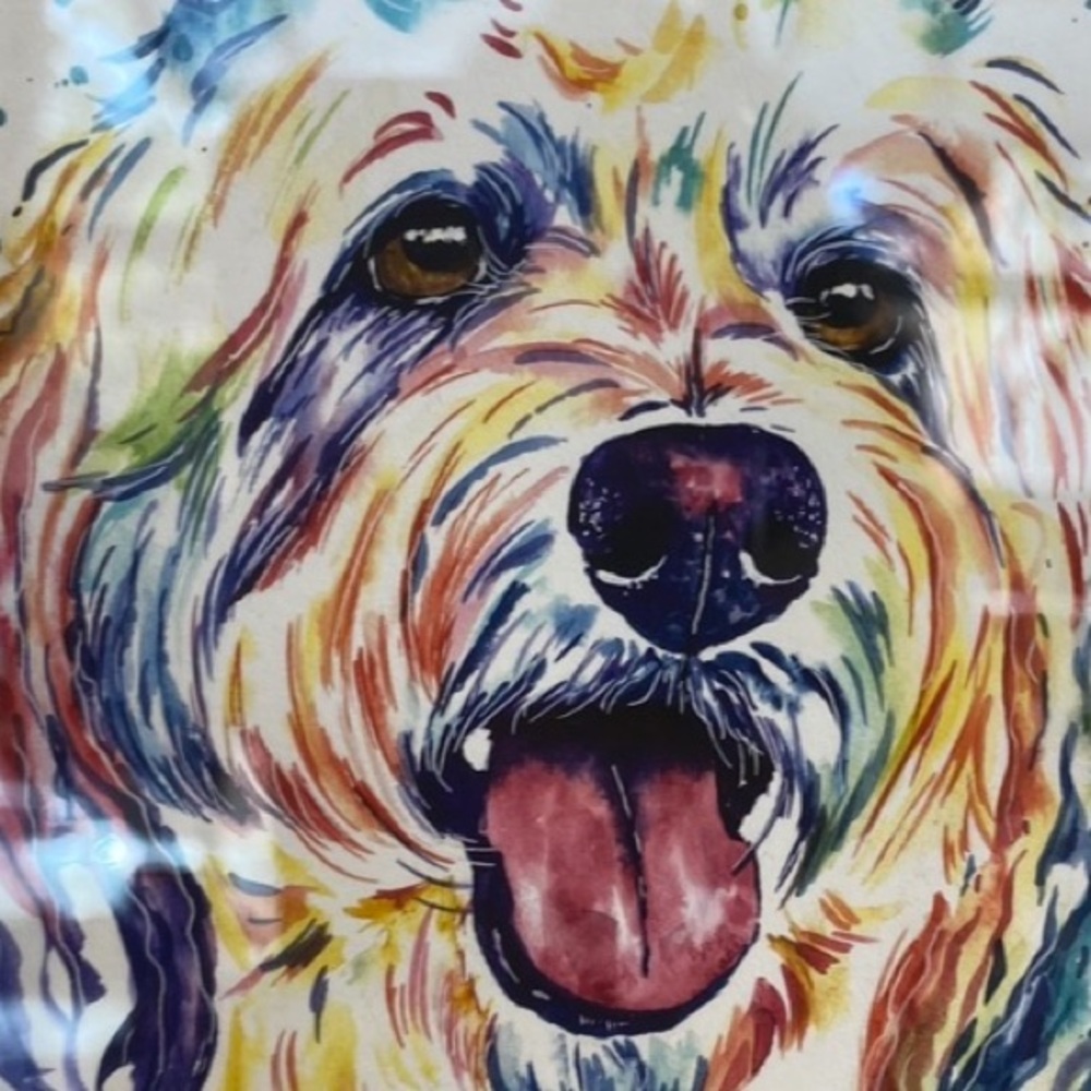 Meet your Posher, Lana